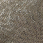 Close-up of Champagne Gold Sheer Circle Shimmer Stretch Tulle Fabric revealing the circular shimmer repeat and fine sheer mesh