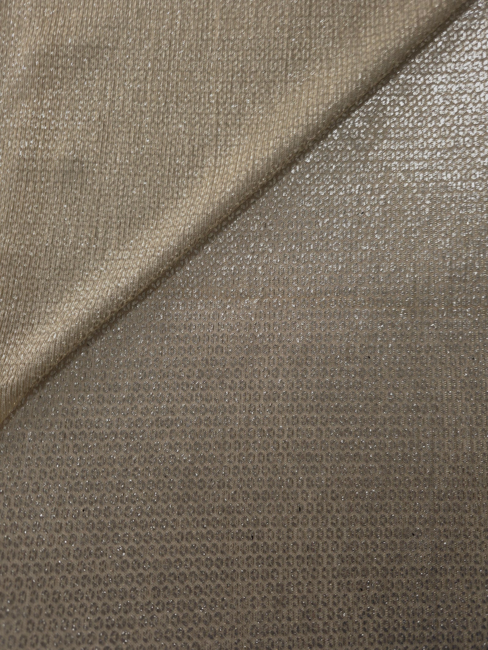 Front and back of Champagne Gold Sheer Circle Shimmer Stretch Tulle Fabric showing transparent knit structure, circle motif and stretch