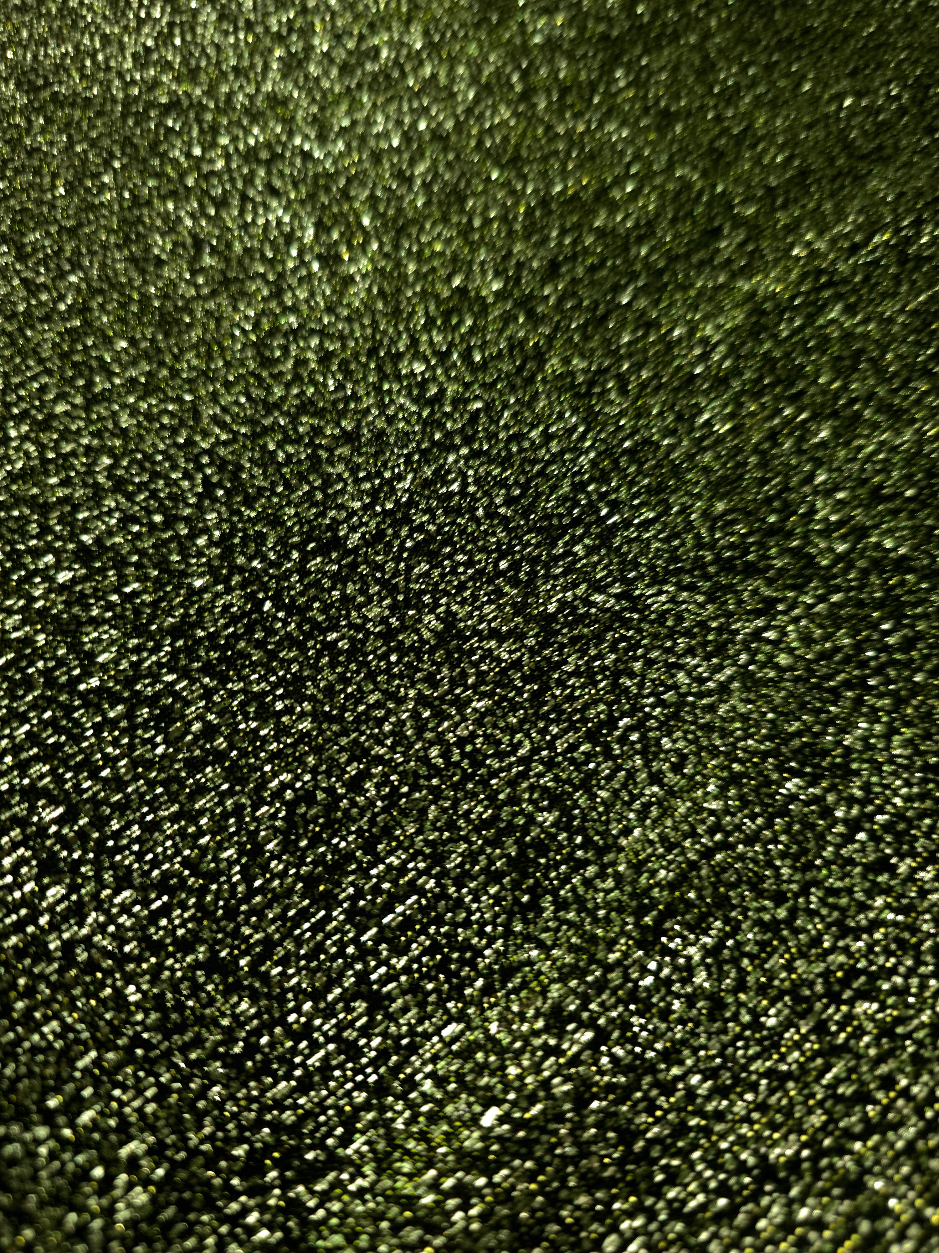 Close-up of Olive Green Sheer Glitter Stretch Tulle Fabric highlighting all-over glitter, fine mesh texture and airy transparency